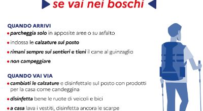 peste suina